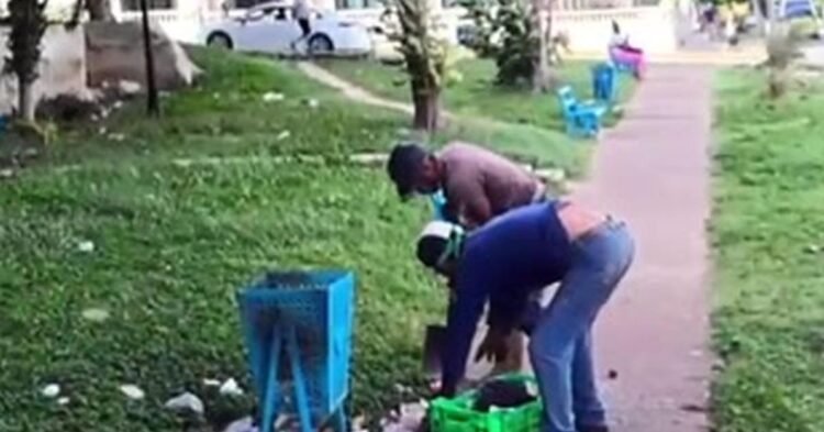 Garbage: Picking up garbage with your hands in Havana: El Rampeño