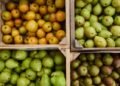 10 fall fruits and vegetables nutrition experts love