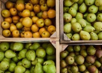 10 fall fruits and vegetables nutrition experts love