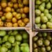 10 fall fruits and vegetables nutrition experts love