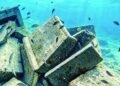 Coral reef development project in Al Batinah North