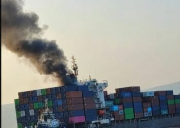 Ship with 2,500 containers sinks in Hormuz: Report