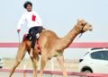Second camel race concludes at Al Felaij, Al Bashayer