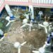 School roof collapse kills 32 children in Pakistan