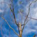 In Bishkek at night up to -5, during the day up to +12 – weather forecast for October 25
