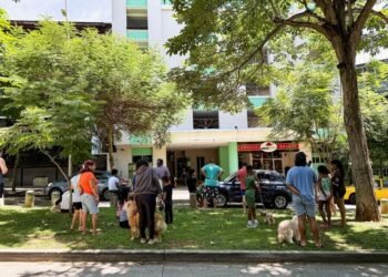 Strong Panama quake shakes nation, but avoids major destruction