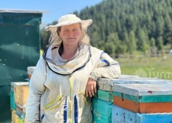Life in the regions: I came to Issyk-Kul as a tourist and stayed here forever – the story of beekeeper Alexandra Kuznetsova