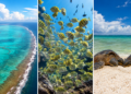 15 Extraordinary UNESCO Sites With Fewer Than 10,000 Annual Visitors