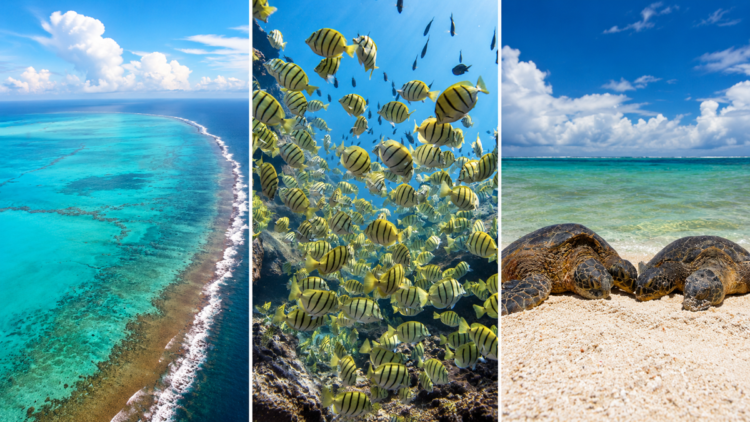 15 Extraordinary UNESCO Sites With Fewer Than 10,000 Annual Visitors