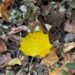 Storm warning: air temperature expected to drop on October 5-6