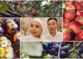 Aiyl turmushu: Ak-Talaanin kelini Sedep Nurbekova chon kainatasynan kalgan bakty oz karamagyna aldy