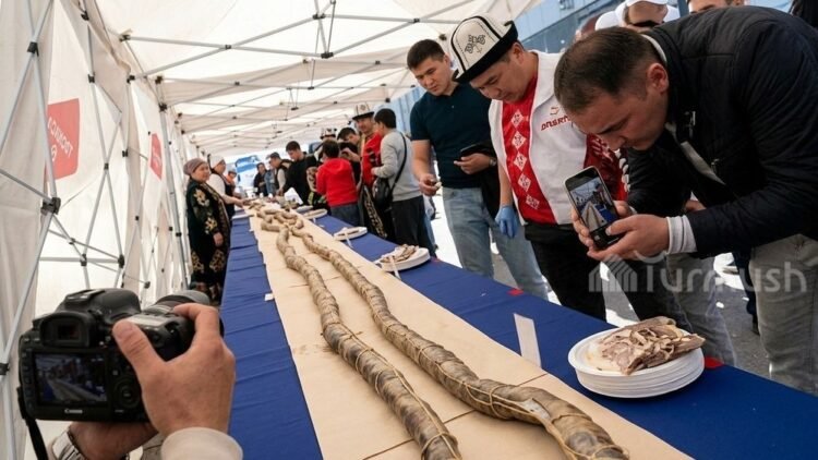 Turmush: A 120-meter long chuchuk was prepared for the 100th anniversary of the Chui region