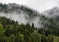 Rain in places during the day, the air will warm up to +21 – weather forecast for October 30