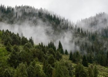 Rain in places during the day, the air will warm up to +21 – weather forecast for October 30