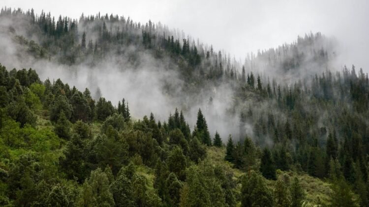 Rain in places during the day, the air will warm up to +21 – weather forecast for October 30