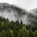 Rain in places during the day, the air will warm up to +21 – weather forecast for October 30