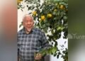Life in the regions: Gardener from Batken Sultanmurat Latipov has been growing lemons in a greenhouse in the courtyard for 8 years