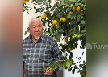 Life in the regions: Gardener from Batken Sultanmurat Latipov has been growing lemons in a greenhouse in the courtyard for 8 years