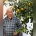 Life in the regions: Gardener from Batken Sultanmurat Latipov has been growing lemons in a greenhouse in the courtyard for 8 years