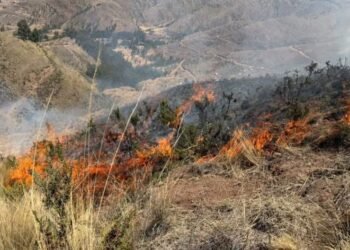 Forest fires in Peru leave six dead and maintain active outbreaks in five regions | latest