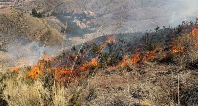 Forest fires in Peru leave six dead and maintain active outbreaks in five regions | latest