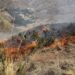 Forest fires in Peru leave six dead and maintain active outbreaks in five regions | latest