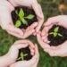 Environmental education…investing in rising generations to protect natural resources