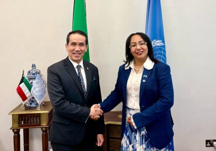 Ambassador Expresses Gratitude for UN Support