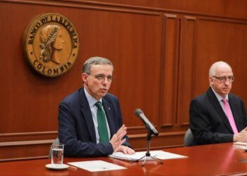 Government and Bank of the Republic sacrifice economic growth to stop inflation: the reasons behind the decision