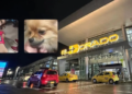 New details of the case of a couple who abandoned their two dogs at the El Dorado Airport in Bogotá: ‘If it is necessary that they be euthanized’