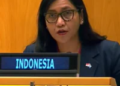 Indonesia responds to Vanuatu | News