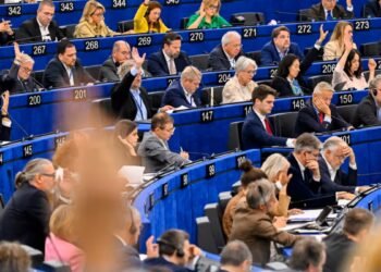 The Eurochamber provisionally sets the ratification of the agreement for January 18
