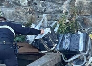 The Andorran police found 3,750 packs of contraband tobacco in a sewer in the Pas