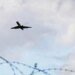 Remains of the plane reported missing are found off the coast of the United States: it had fallen 12,000 feet in three minutes