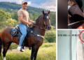 Emeralds, Paso Fino horses and pyrotechnics: the businesses of the businessman shot down in Santander with his wife, according to authorities