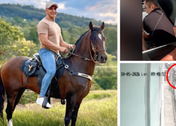 Emeralds, Paso Fino horses and pyrotechnics: the businesses of the businessman shot down in Santander with his wife, according to authorities