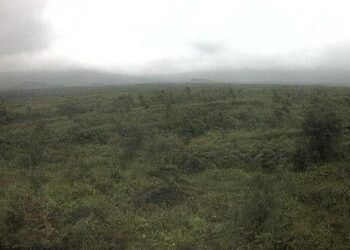 Minor eruption at Ambrym volcano | News