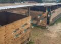 Tents replaced as work begins on cyclone-damaged classrooms