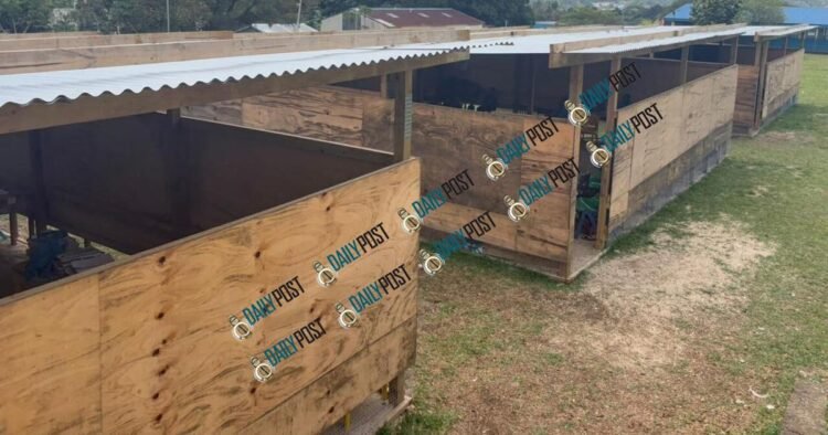 Tents replaced as work begins on cyclone-damaged classrooms