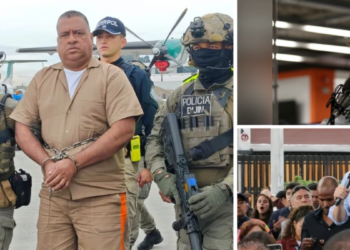 What does alias Araña, former head of the Border Commandos, know about the assassination of Miguel Uribe Turbay? Your lawyer speaks