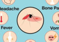 Dengue outbreak declared on Malekula