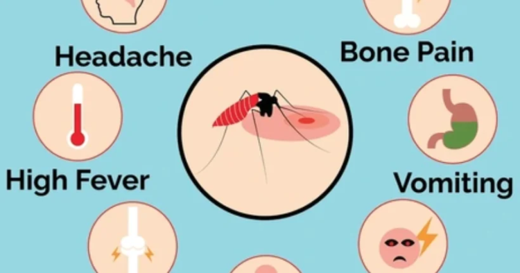 Dengue outbreak declared on Malekula