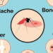 Dengue outbreak declared on Malekula
