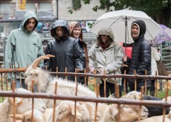 The Canillo Fair brings together 20 ranches and 52 fairs