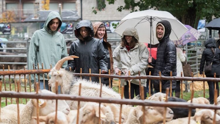 The Canillo Fair brings together 20 ranches and 52 fairs