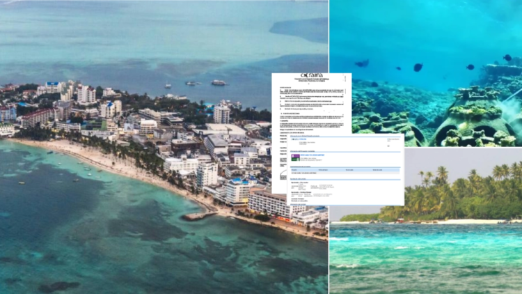 Since 2024, Coralina has signed 1,141 contracts for 42,639 million in San Andrés: one of the largest was for an association linked to the tax process