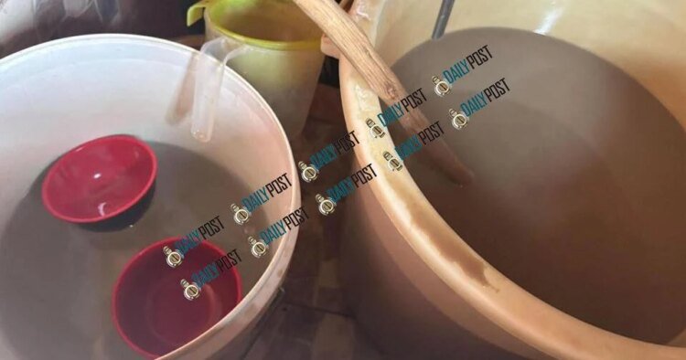 Flu Surge Strains Hospital as Public Urged to Take Precautions, Kava Drinkers Told to Use Own Shells
