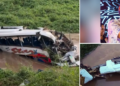 The two dogs and the inspection report of the bus in which Kbeto Zuleta crashed after a concert