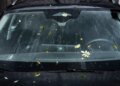 Swiss Re estimates CHF1.7 billion hailstone damage