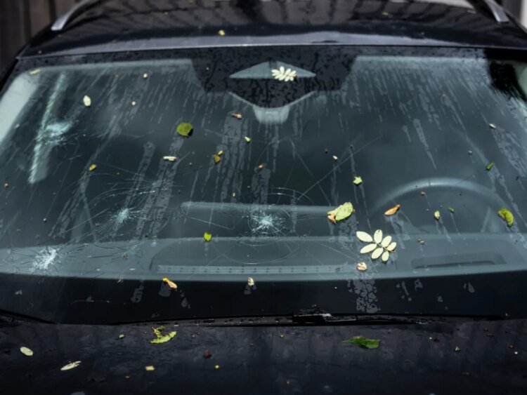 Swiss Re estimates CHF1.7 billion hailstone damage